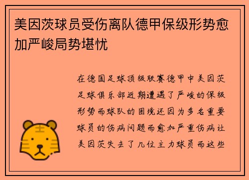 美因茨球员受伤离队德甲保级形势愈加严峻局势堪忧