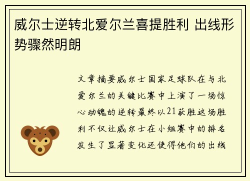 威尔士逆转北爱尔兰喜提胜利 出线形势骤然明朗