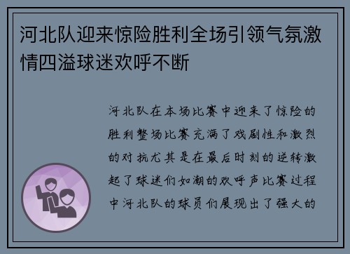 河北队迎来惊险胜利全场引领气氛激情四溢球迷欢呼不断