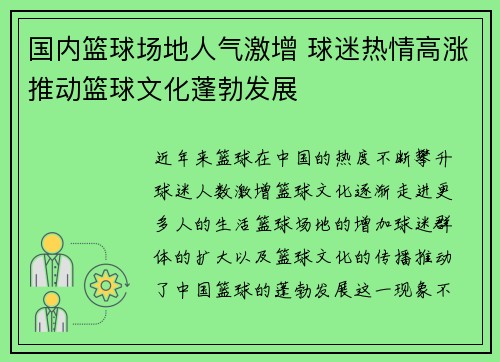国内篮球场地人气激增 球迷热情高涨推动篮球文化蓬勃发展